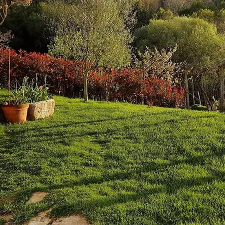 Casa Da Vina - Ribeira Sacra Σπίτι διακοπών *