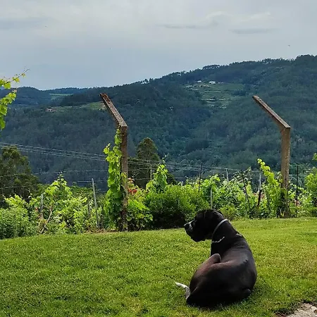 Casa Da Vina - Ribeira Sacra Nogueira De Ramuin