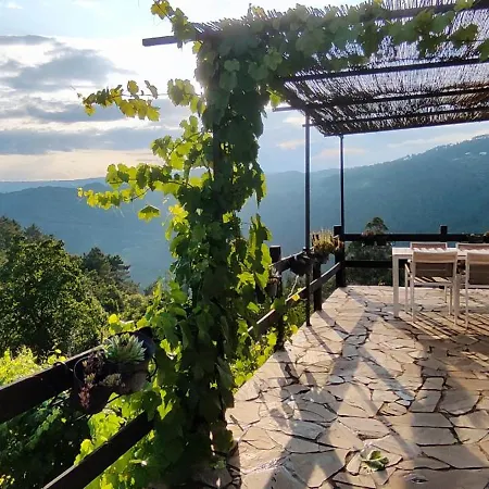 Casa Da Vina - Ribeira Sacra * Nogueira De Ramuin