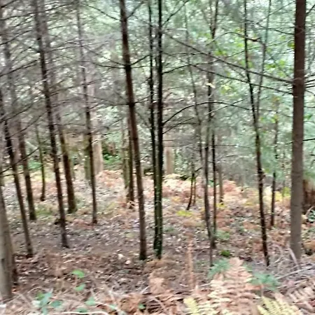 Casa Da Vina - Ribeira Sacra Σπίτι διακοπών *