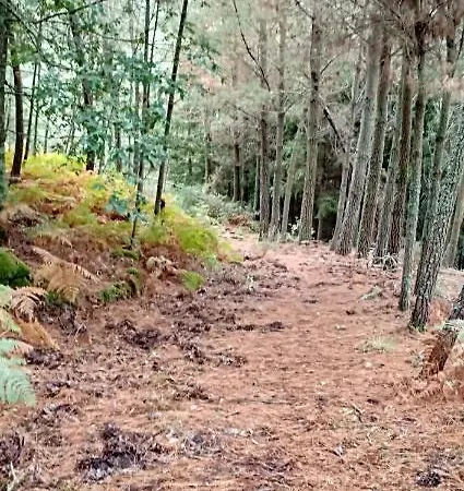 Casa Da Vina - Ribeira Sacra Dom wakacyjny *