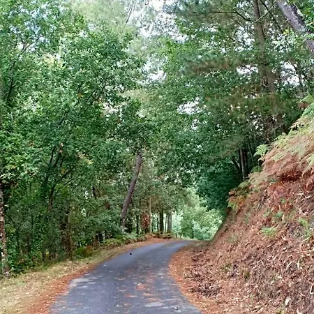Casa Da Vina - Ribeira Sacra *