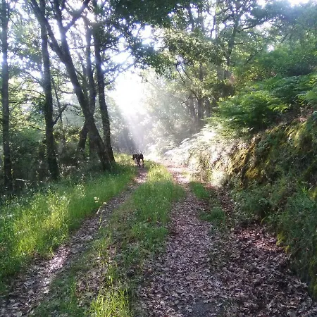 Casa Da Vina - Ribeira Sacra Dom wakacyjny Nogueira De Ramuin