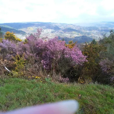 Casa Da Vina - Ribeira Sacra Nogueira De Ramuin