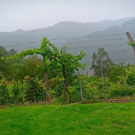 Casa Da Vina - Ribeira Sacra * Nogueira De Ramuin