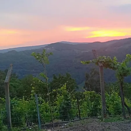 Casa Da Vina - Ribeira Sacra Дом отдыха Ногейра-де-Рамуин
