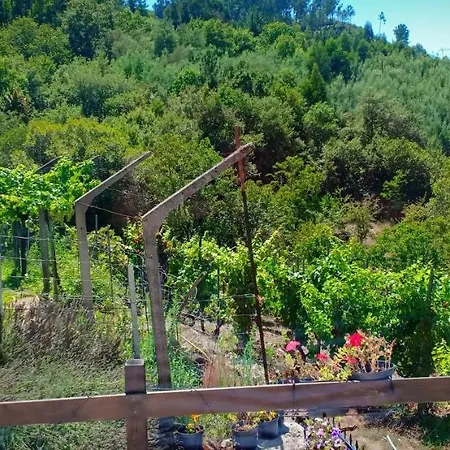 Casa Da Vina - Ribeira Sacra * Nogueira De Ramuin