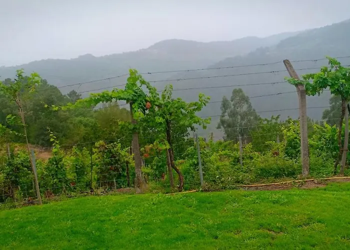 Casa Da Vina - Ribeira Sacra * Nogueira De Ramuin