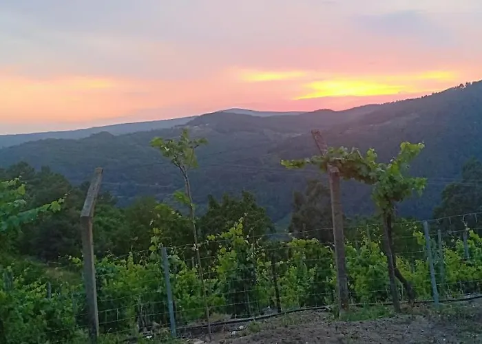 Casa Da Vina - Ribeira Sacra Dom wakacyjny Nogueira De Ramuin