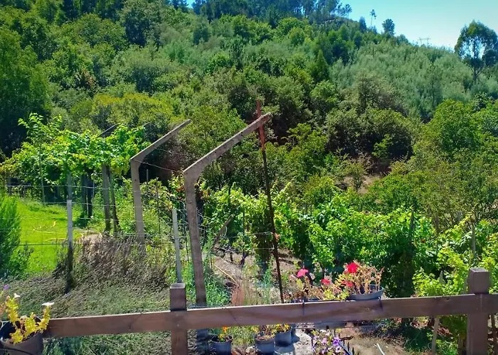 Casa Da Vina - Ribeira Sacra * Nogueira De Ramuin